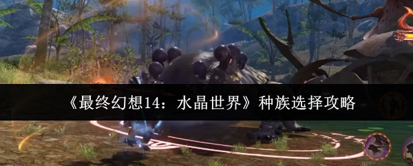 《最終幻想14：水晶世界》種族選擇攻略