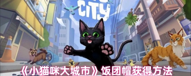 獲取《小貓咪大城市》飯團帽的方法