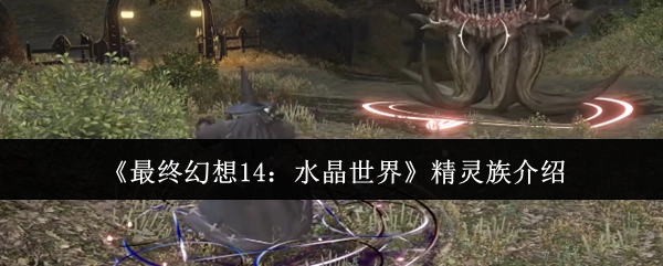 《最終幻想14：水晶世界》中精靈族的相關介紹