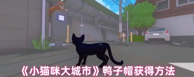 《小貓咪大城市》鴨子帽獲得方法