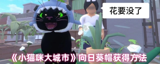 《小貓咪大城市》向日葵帽獲得方法