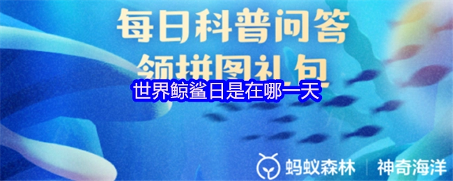 世界鯨鯊日是在哪一天