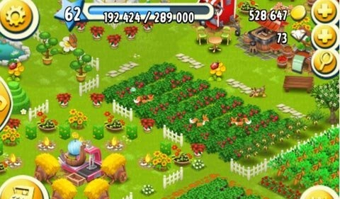 《卡通農(nóng)場》家禽產(chǎn)品推薦