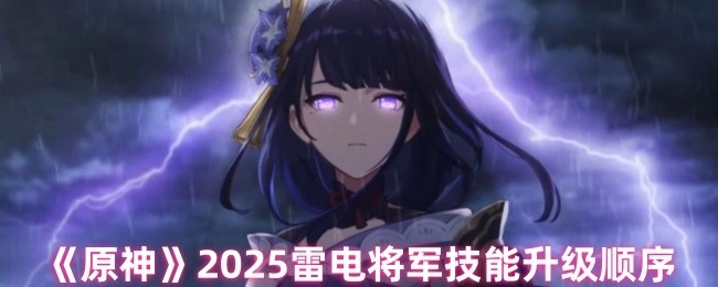 2025年《原神》雷電將軍技能的升級先后順序