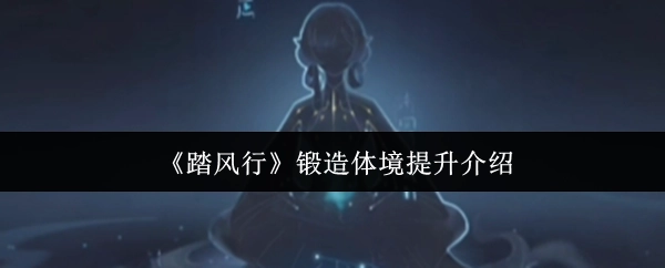 關于《踏風行》鍛造體境提升的說明