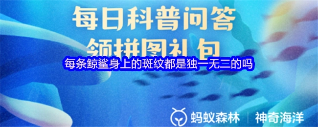 每一條鯨鯊身上的斑紋都是獨一無二的嗎？