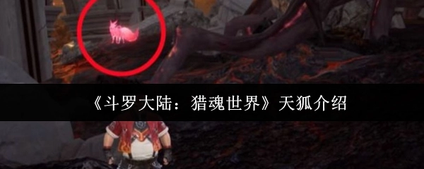 《斗羅大陸：獵魂世界》中關(guān)于天狐的介紹