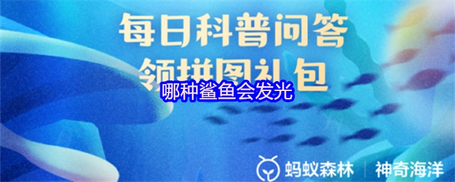 什么種類的鯊魚能夠發光？