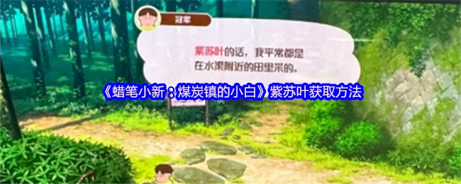 《蠟筆小新：煤炭鎮(zhèn)的小白》里紫蘇葉的獲取方式