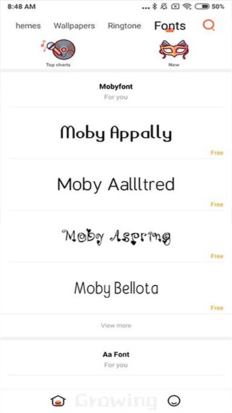 小米主题国际版