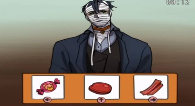 家養寵物游戲中文版