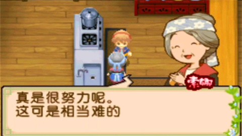 牧场物语双子村汉化版(4)