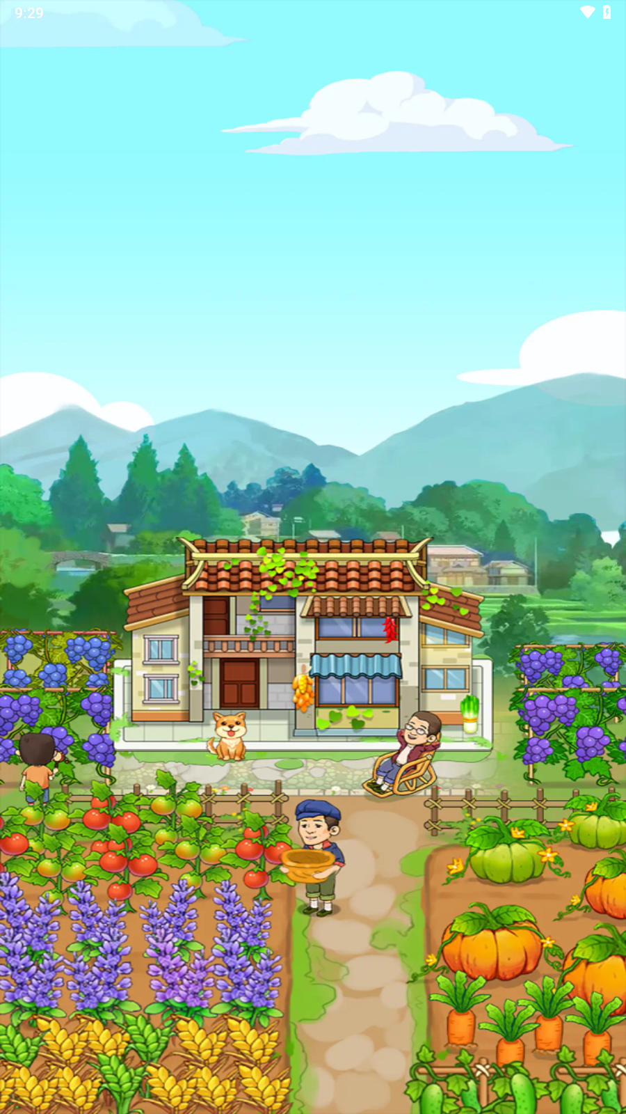 幸福小農(nóng)院正版