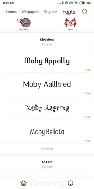 小米主题国际版(1)