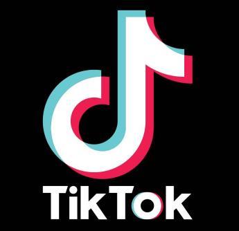 tiktok埃及猫原版