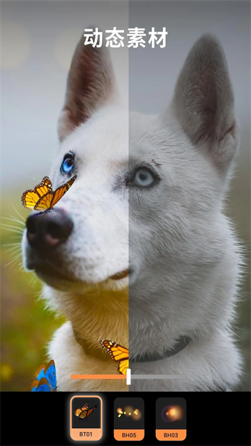 motionleap免费中文版-图1