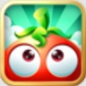 狂热的花园正式版