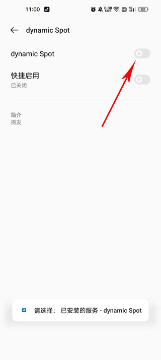 dynamicSpot灵动岛