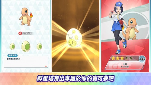 宝可梦大师EX国际版(4)