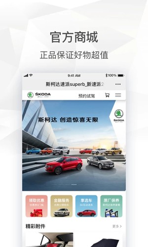 斯柯达图1