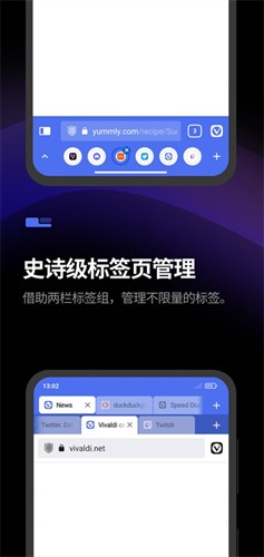 Vivaldi浏览器图4
