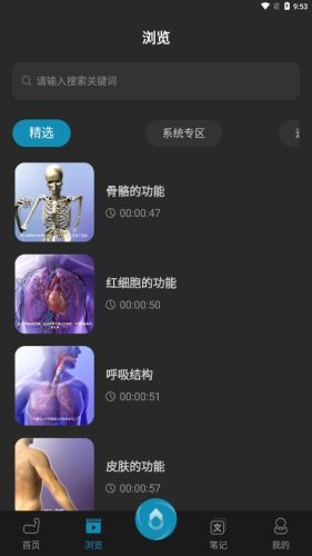 3D肌肉解剖图3