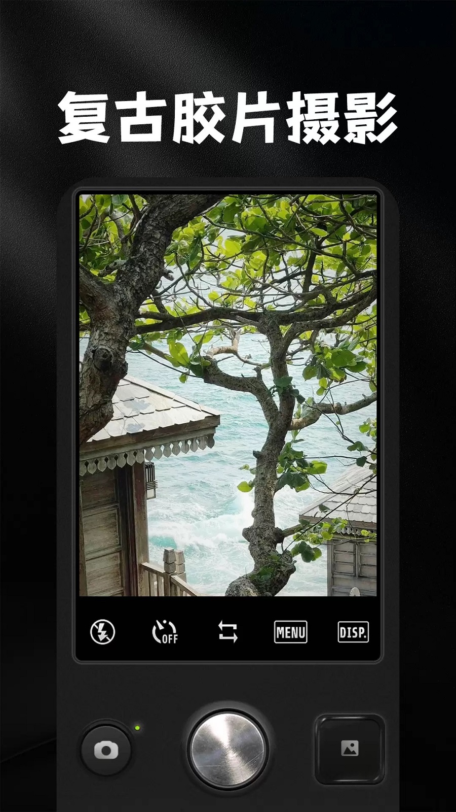 dz复古胶片相机图3
