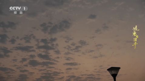 橙子电视直播tv版截图3