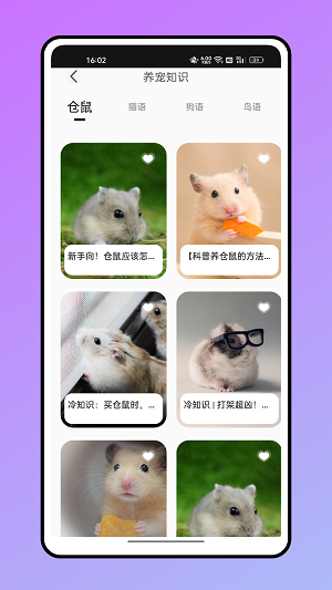 倉(cāng)鼠翻譯器截圖0