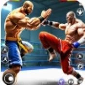 功夫馆格斗游戏正版
