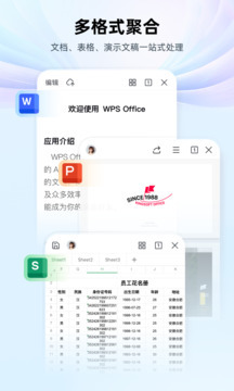 WPS Office1