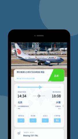 航班雷达24(Flightradar24)截图1