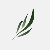 东南小说纯净版