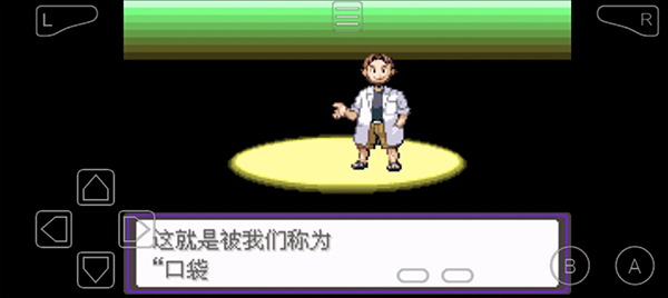 宝可梦漆黑的魅影(4)