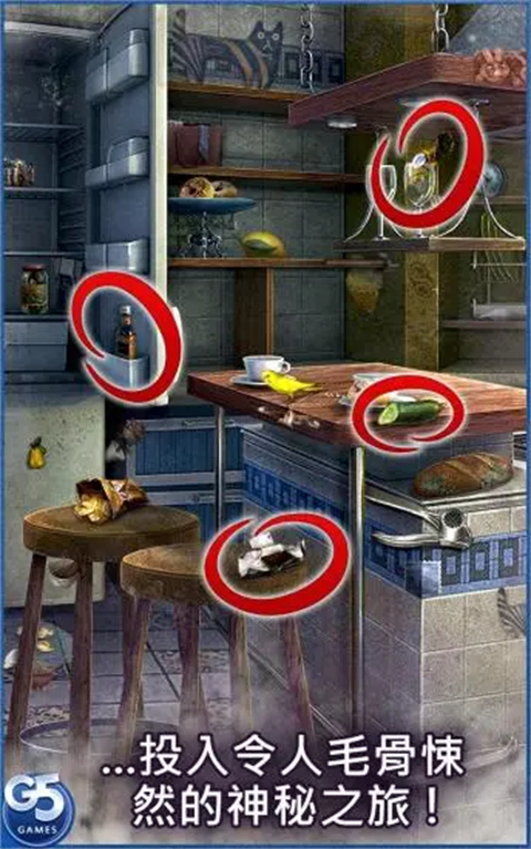 神秘来信中文版图3