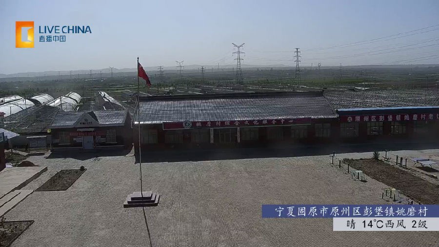 小春直播tv版截图1