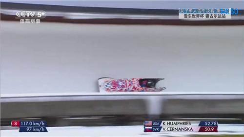 神鸟电视TV版-图1