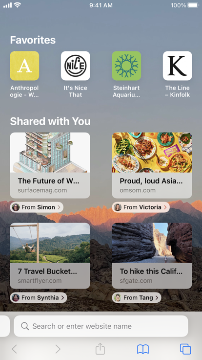 safari浏览器安卓版图2