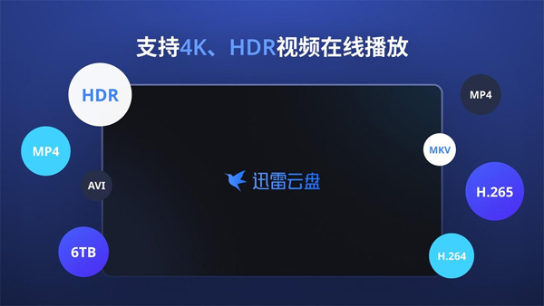 迅雷Tv电视端截图3