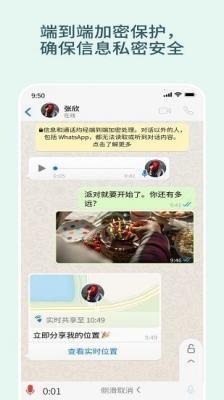 whats中文版(2)