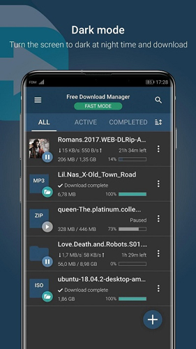 Free Download Manager(2)