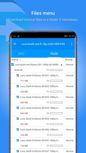 Free Download Manager(3)