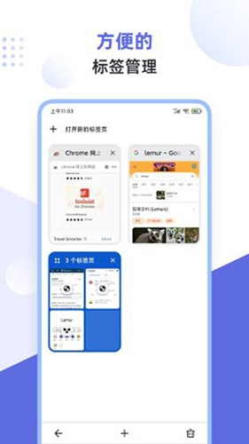 狐猴浏览器(1)