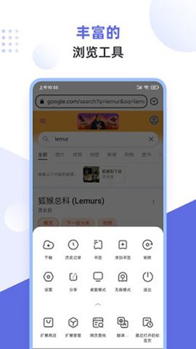 狐猴浏览器(2)
