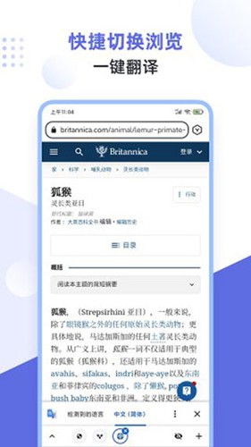 狐猴浏览器(4)