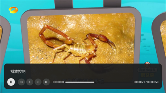 小飞电视tv版图1