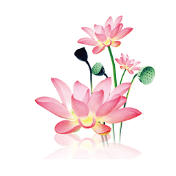 水墨工具箱v1.1.8