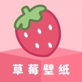 草莓壁纸安装手机版