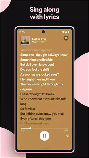 spotify高级版图4