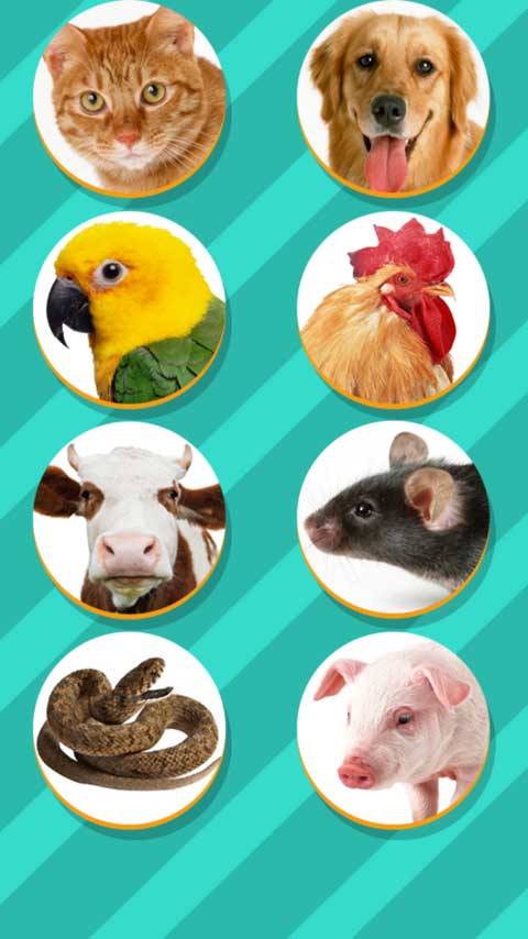 Pet Translator宠物对话翻译器图2